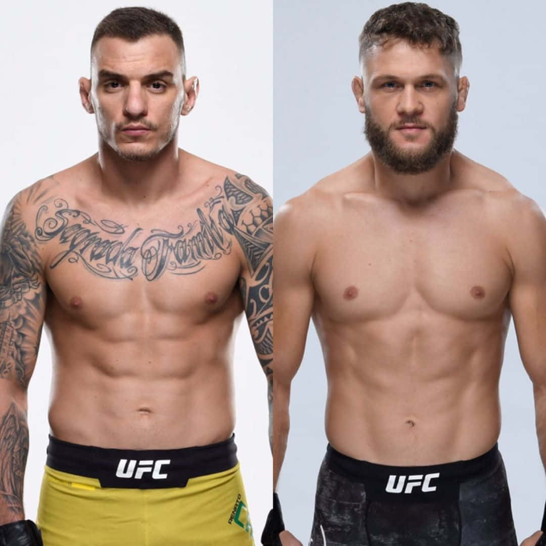 兩位赤裸上身的男性UFC拳手為肖像照擺姿勢，一位有紋身，另一位有鬍鬚。