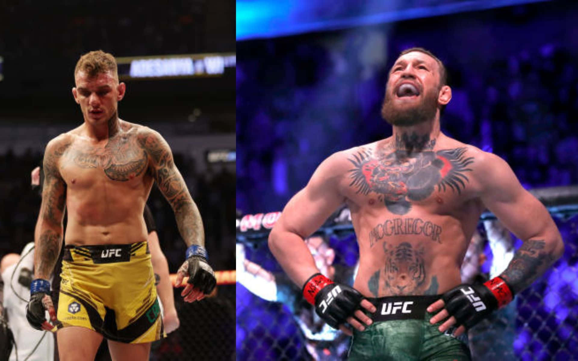 兩名男性MMA拳手身穿UFC裝備，一名低頭，一名在八角籠中慶祝。
