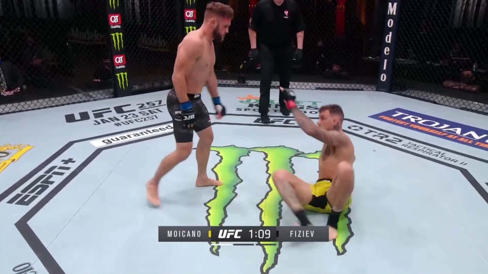兩名MMA拳手在UFC八角籠中，一人站在另一人上方於墊上。