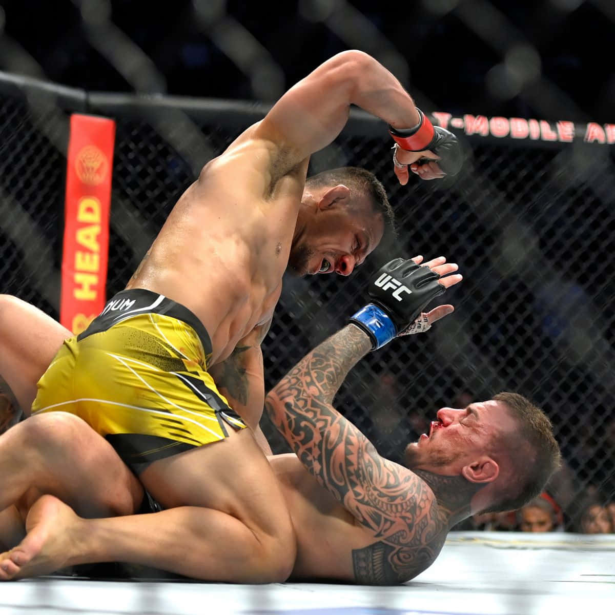 兩名男性MMA拳手在籠內，一人向另一人面部使出肘擊。