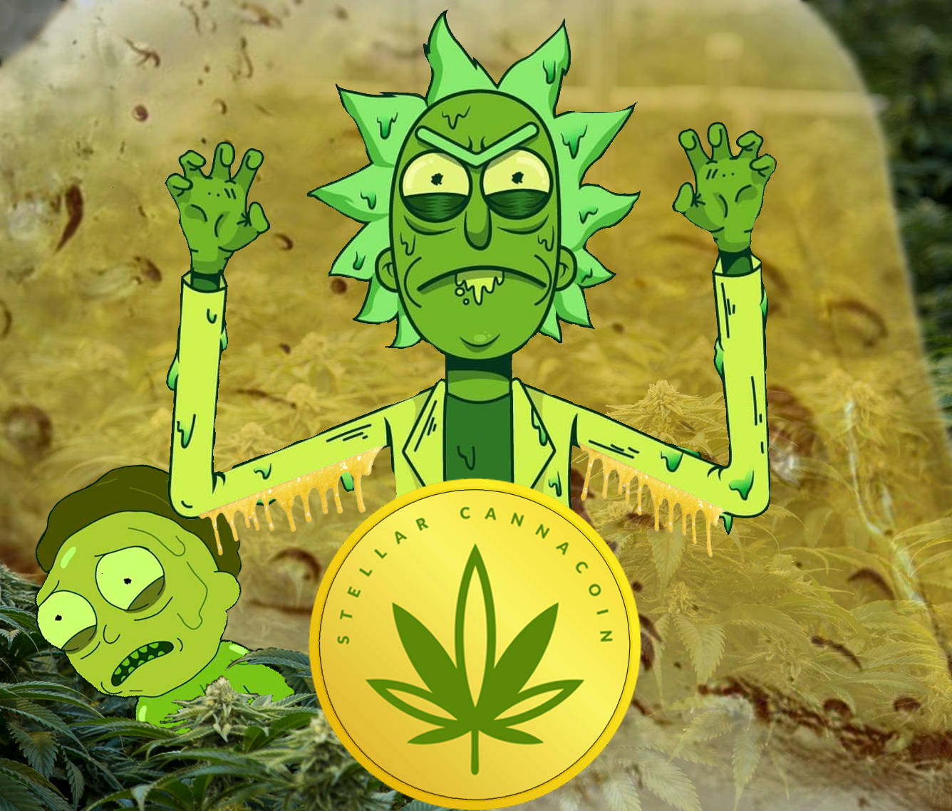瑞克和莫蒂卡通角色被大麻植物和金幣包圍。