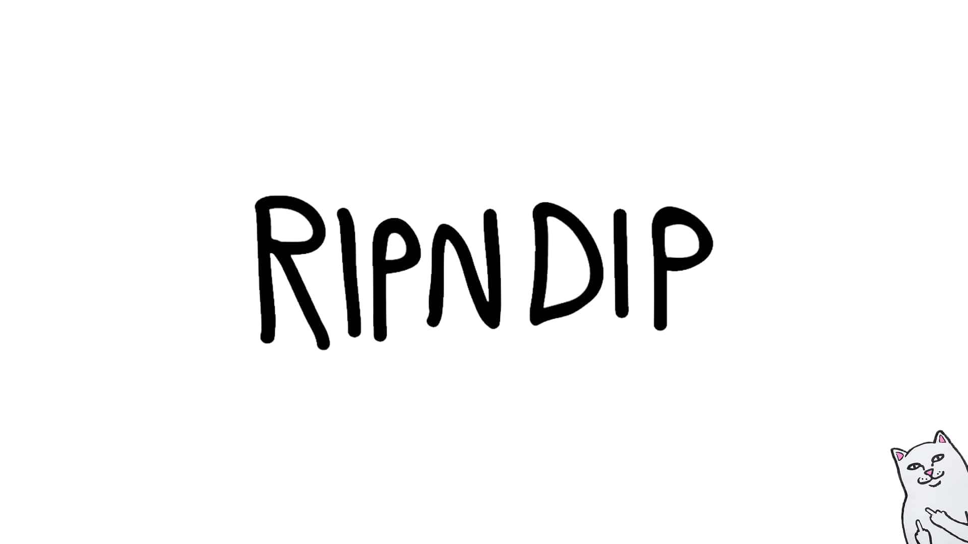 ripp dip - 一隻貓配上黑色字樣 ripp 壁紙
