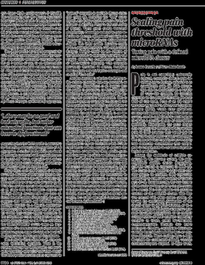 疼痛閾值與微小RNA研究文章 壁紙 — 黑色背景上白色文字，模仿科學期刊文章佈局，帶有粗體標題和密集段落。