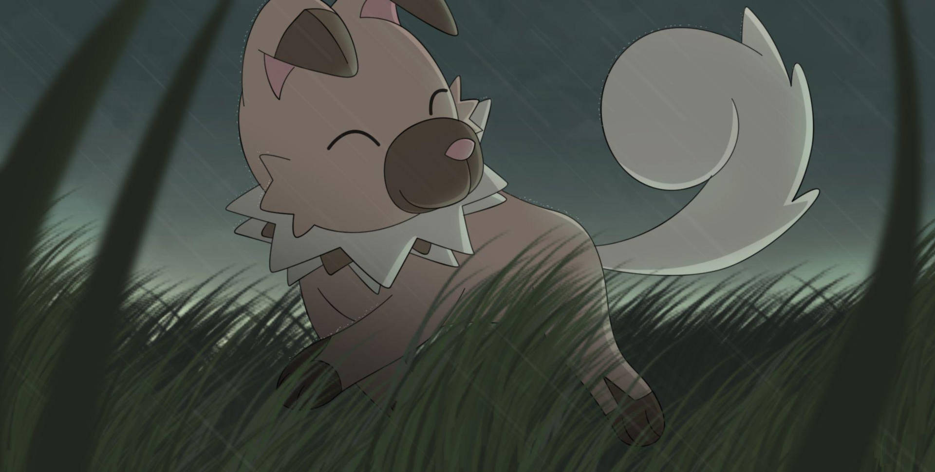 Rockruff 穿過草地奔跑 壁紙 — 一隻可愛的動漫小狗，有著蓬鬆的尾巴，在雨夜的天空下高高興興地坐在高高的草叢中。