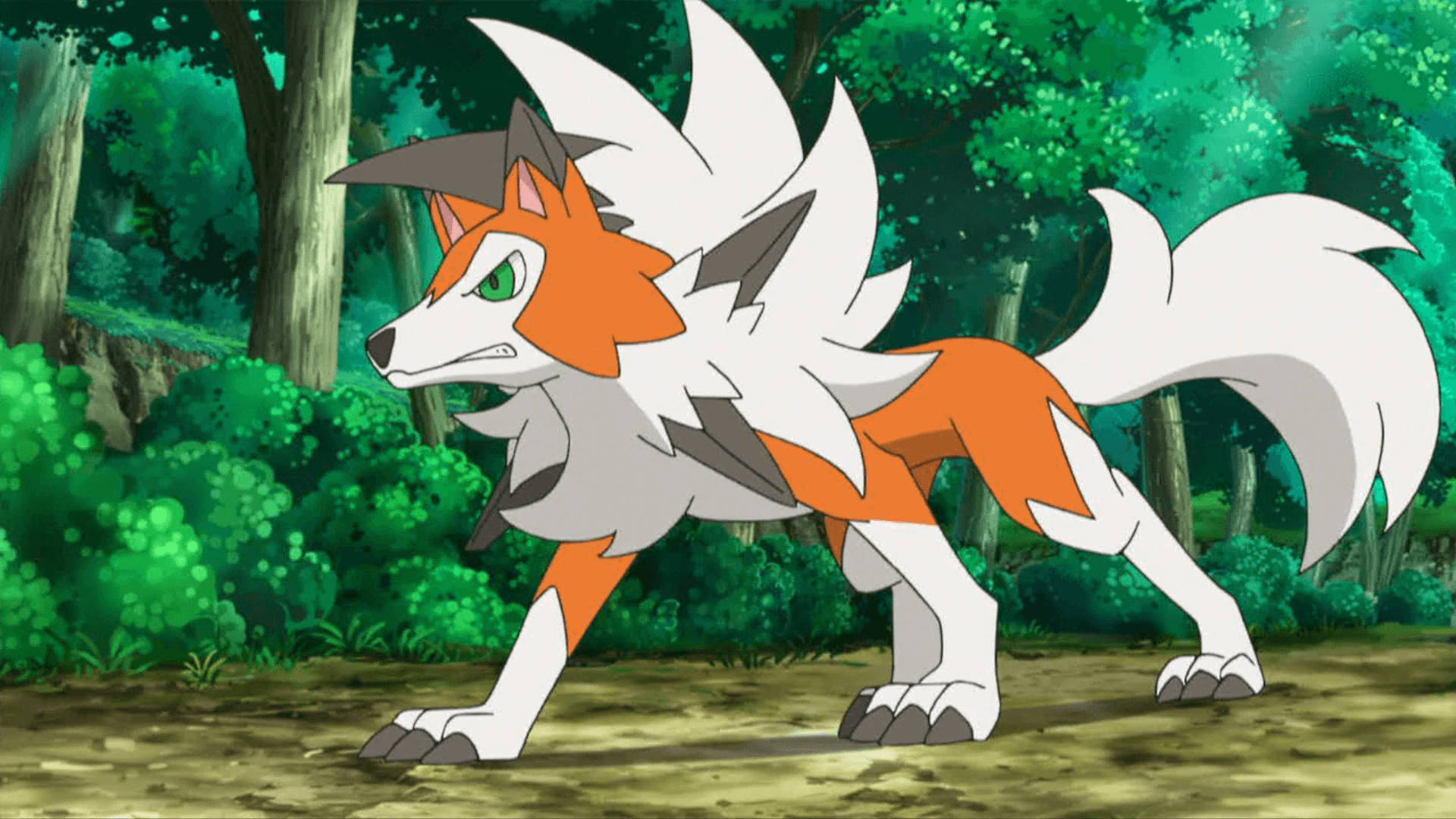 Rockruff 第三進化形態 壁紙 — 一隻火紅的狐狸般嘅寵物小精靈，有白色、橙色同灰色嘅毛，警覺咁企喺茂密嘅綠色森林入面。