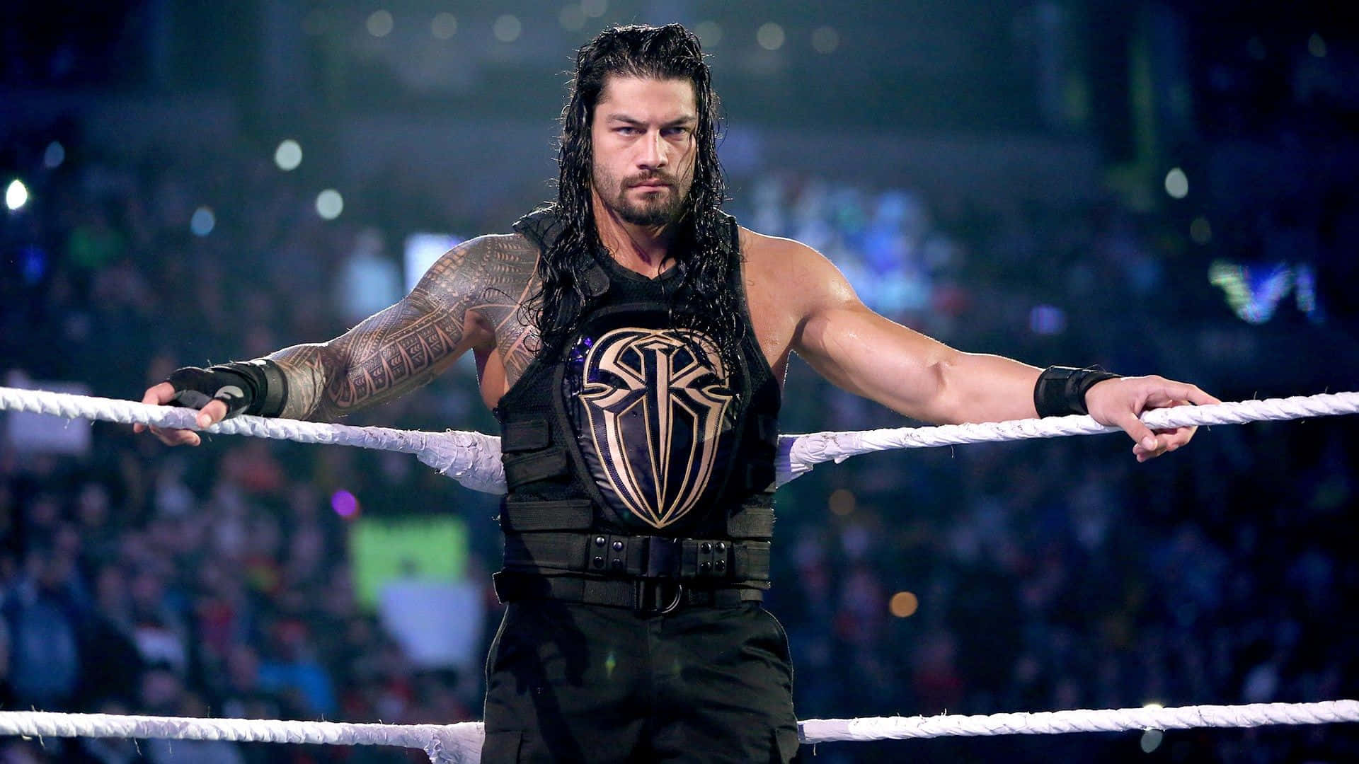 Roman Reigns 圖片 壁紙
