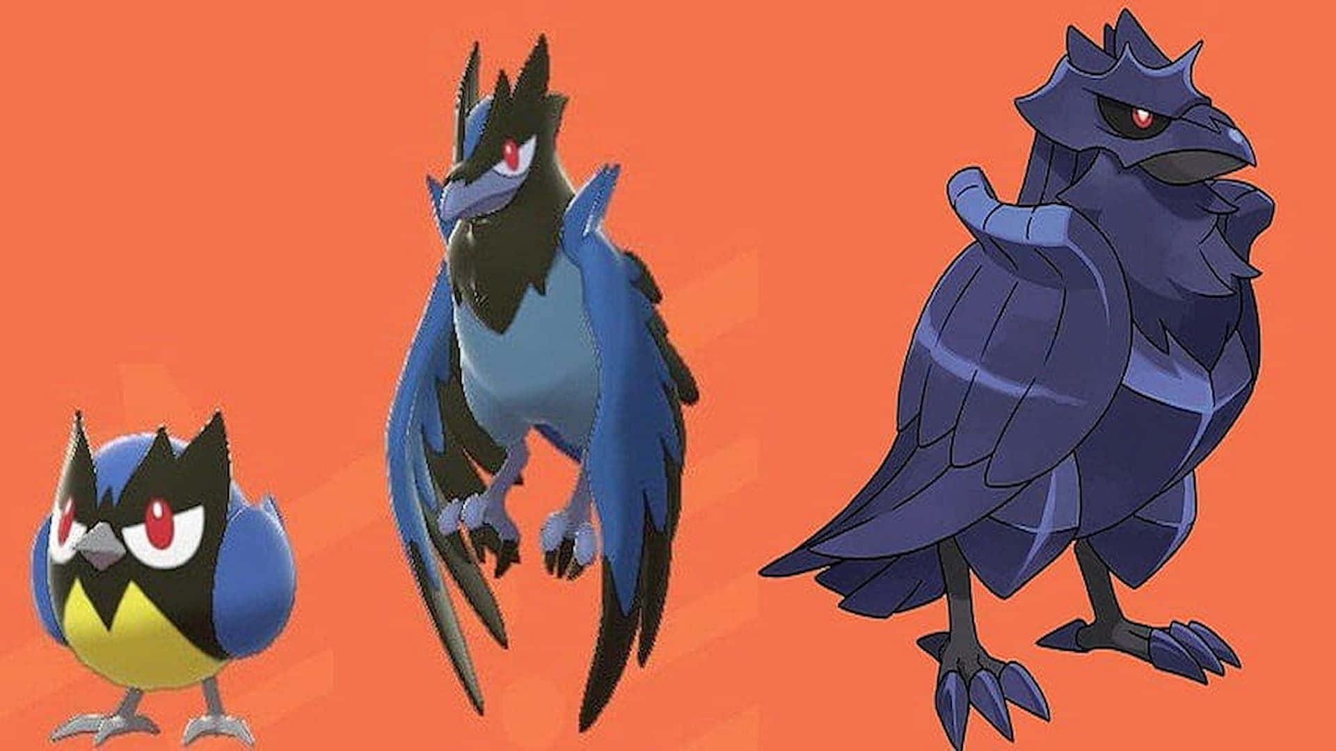 Rookidee、Corvisquire 與 Corviknight 橘色高畫質 壁紙 — 三隻風格化的鳥類寶可夢，具有尖銳特徵和發光的紅色眼睛，站在純橙色背景前。