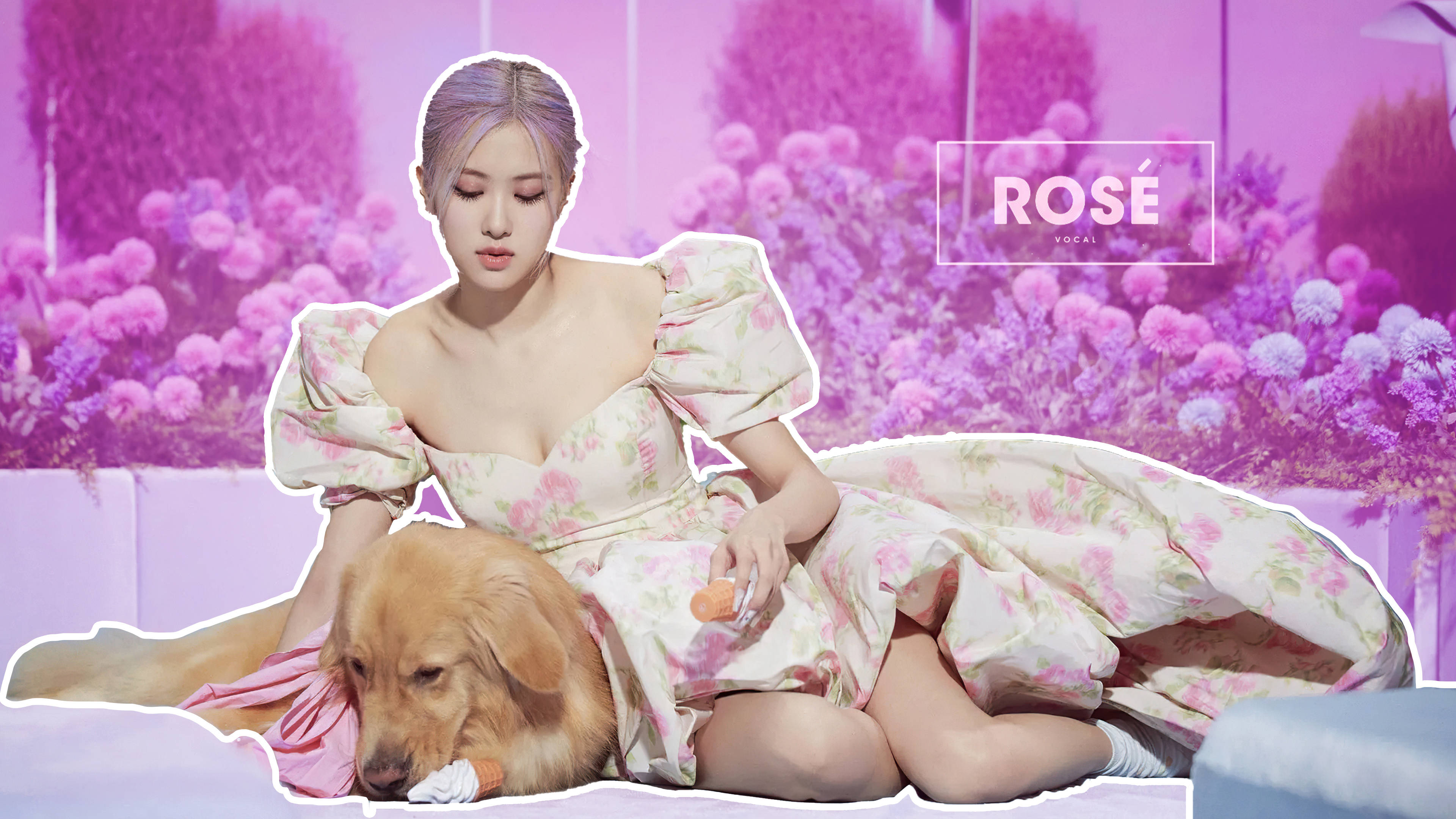 Rose BLACKPINK與金毛犬 壁紙 — 一位穿著花卉連衣裙的女性坐在一隻金毛尋回犬旁邊，背景是夢幻的紫色花卉，光線柔和。