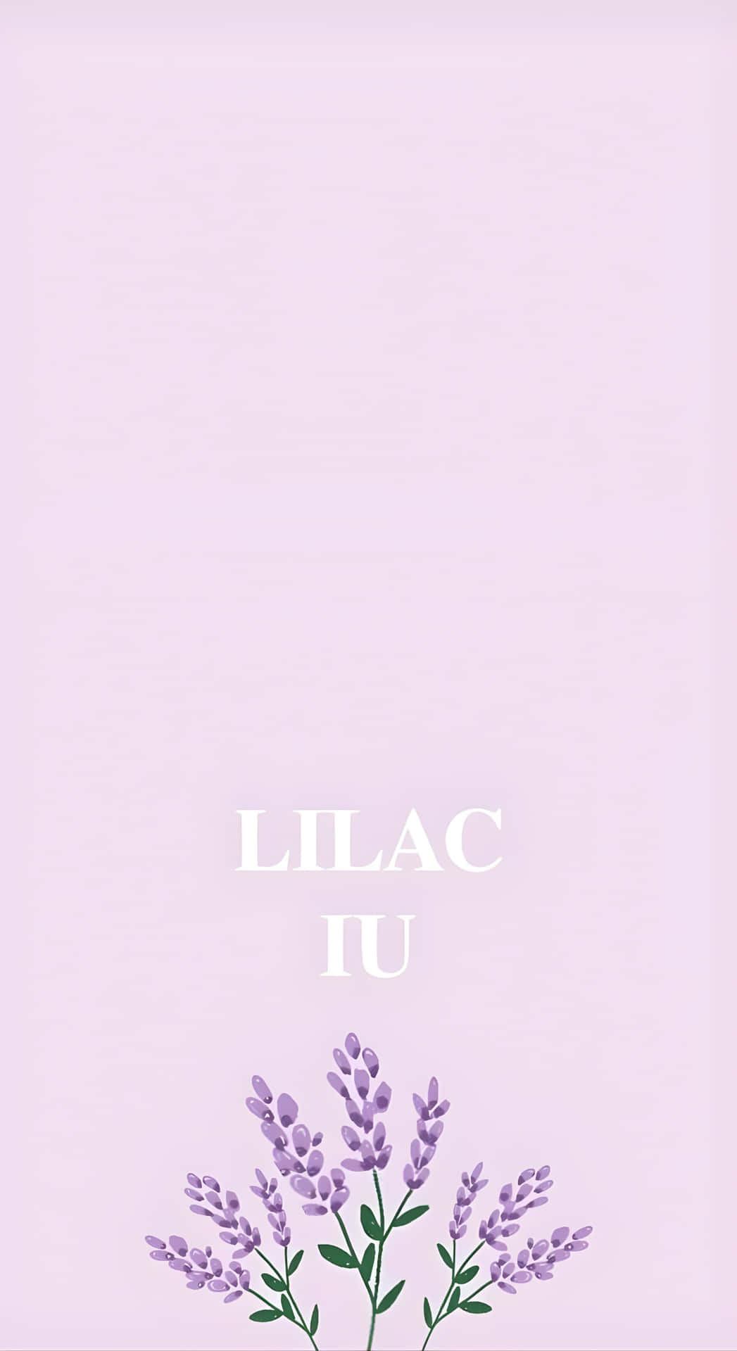  壁紙 — 柔和嘅淡紫色背景，上面有精緻嘅薰衣草枝同白色襯線字體寫住 'LILAC IU'。
