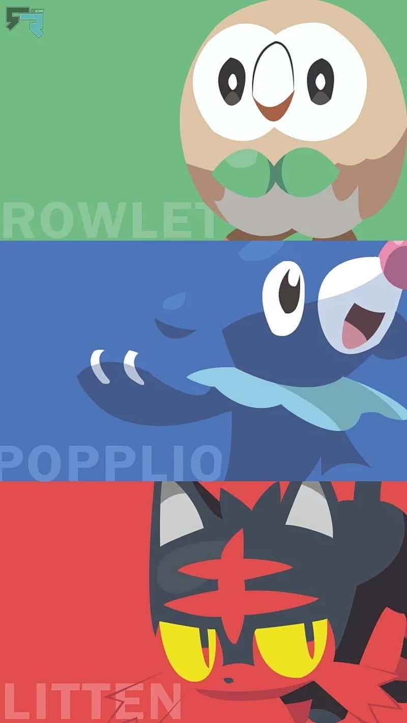 三個寶可夢木木梟、球球海獅和火斑喵在分開的彩色面板中，採用大膽的平面設計。