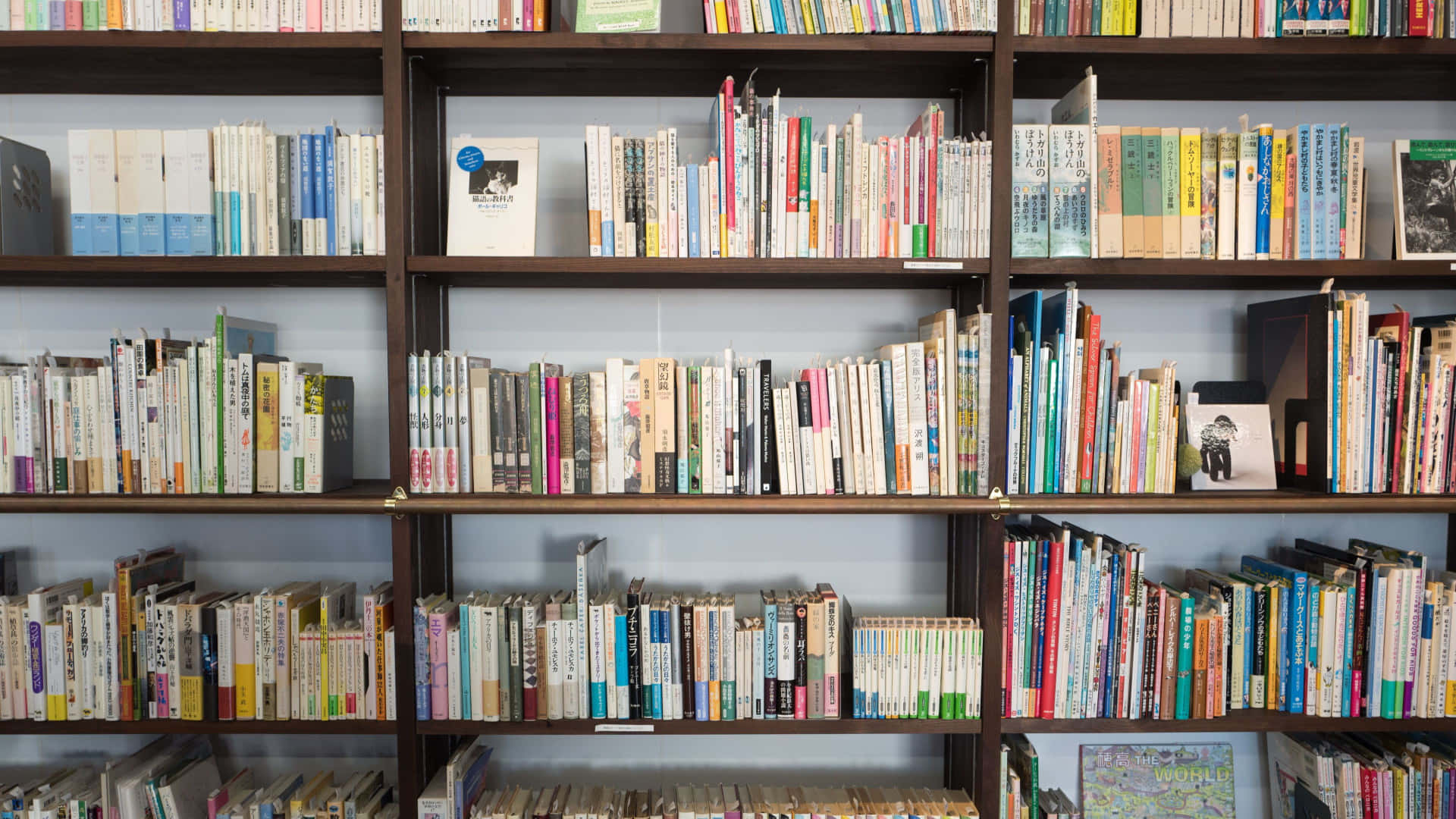圖書館木架上的一排排書籍
