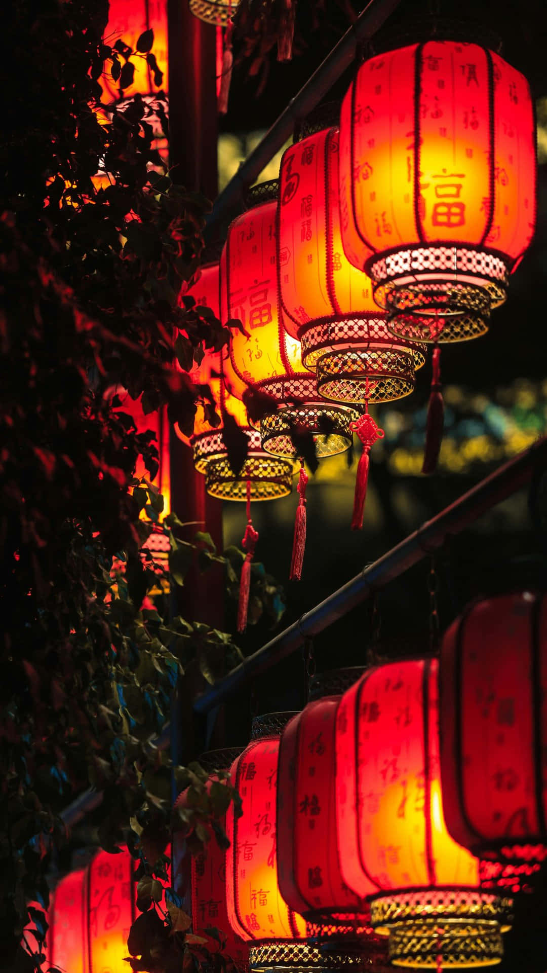  壁紙 — 一排排帶有中文字樣的紅色發光燈籠在夜間溫暖地懸掛在深色樹葉前。