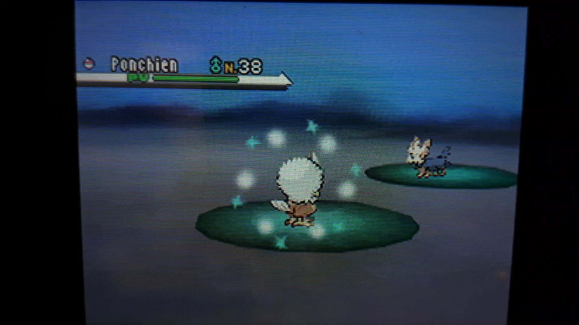 Rufflet，雄偉的鳥寶可夢 壁紙 — 像素化寶可夢戰鬥場景，Ponchien 在浮動平台上攻擊，背景是黃昏天空。