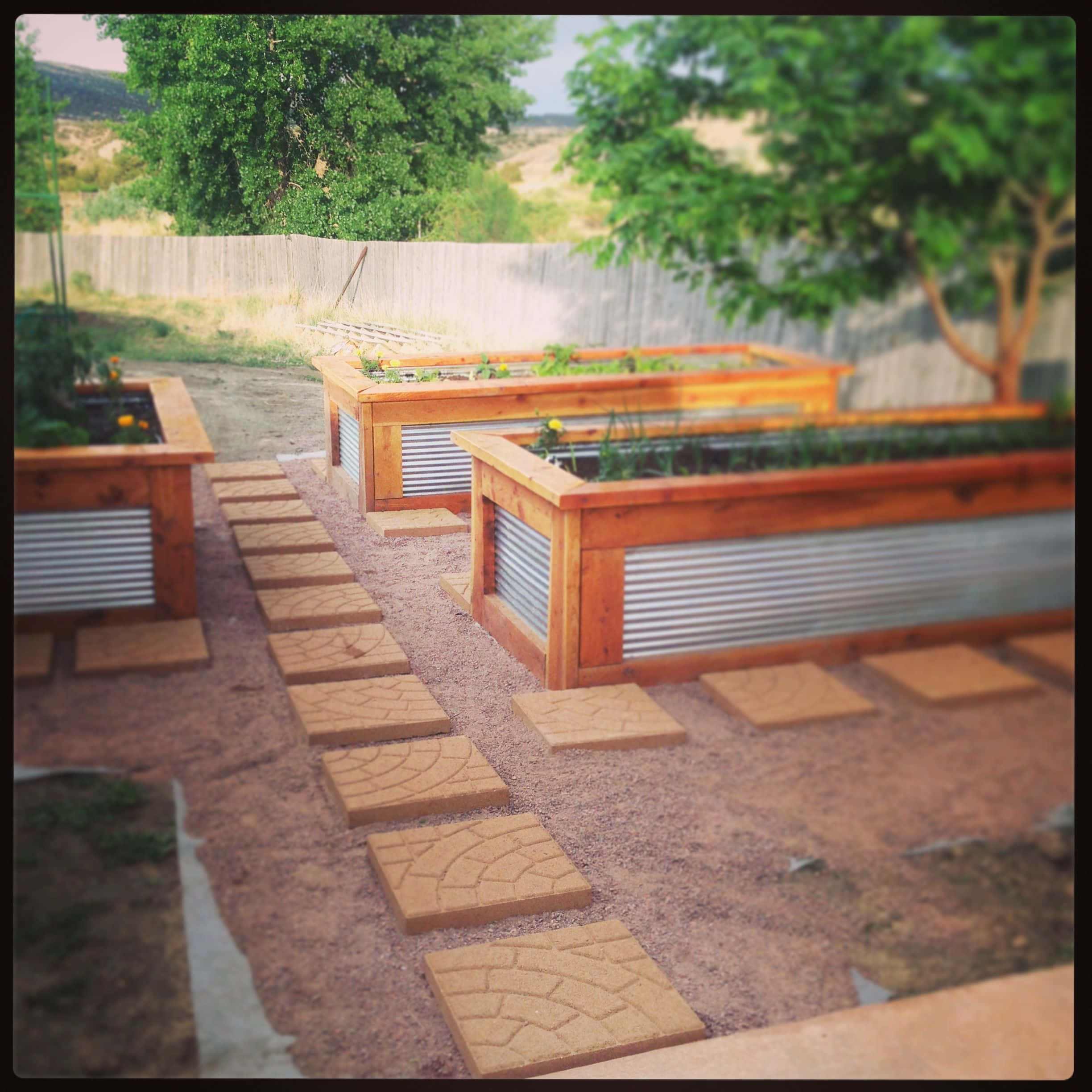 Garden Bed 桌布 壁紙 — 一個質樸的後院花園，設有金屬波紋板襯裡的木製高架花床、石鋪路和茂密的綠樹，在明亮的日光下。