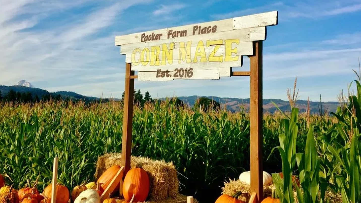  壁紙 — 一個質樸的木製標牌，上面寫著「Lacker Farm Place Corn Maze」，矗立在充滿活力的綠色玉米田前，背景是明亮的藍天和遠處的山脈。