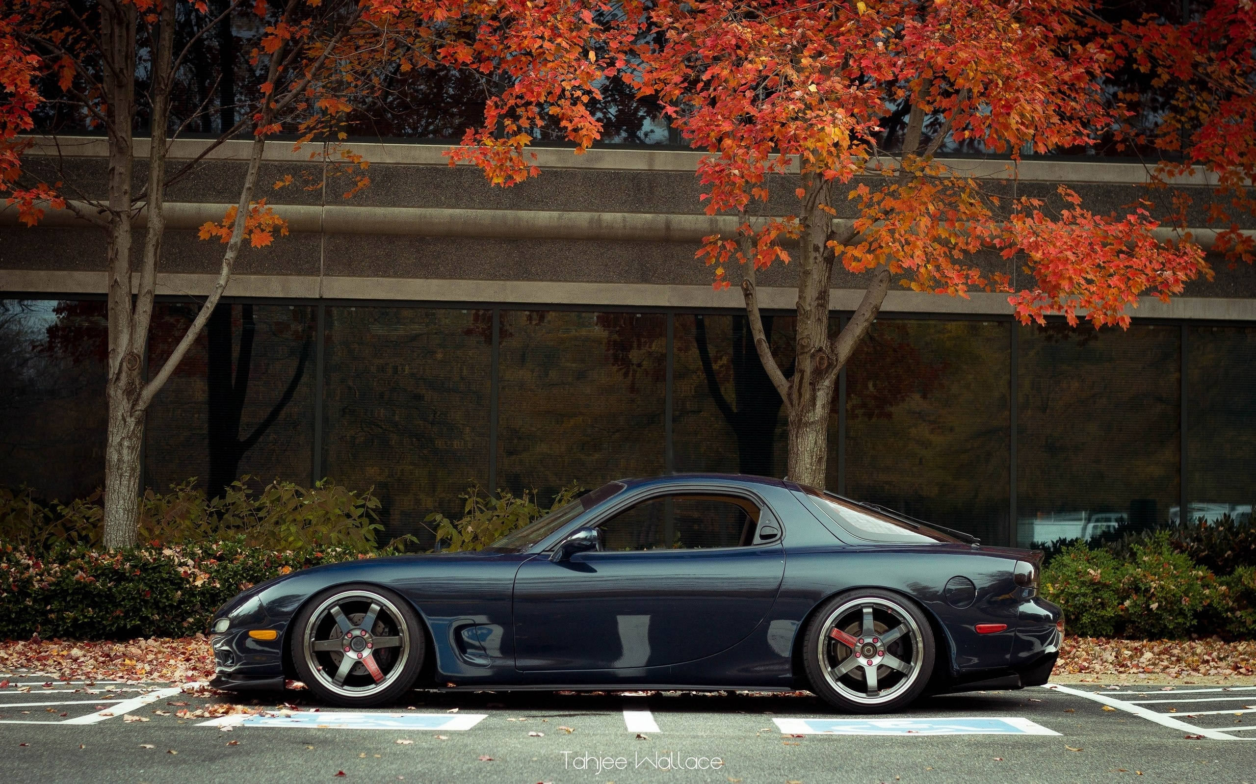 馬自達RX-7側面視圖 壁紙 — 一輛時尚的深藍色跑車停在停車場，上方是鮮紅的秋樹。