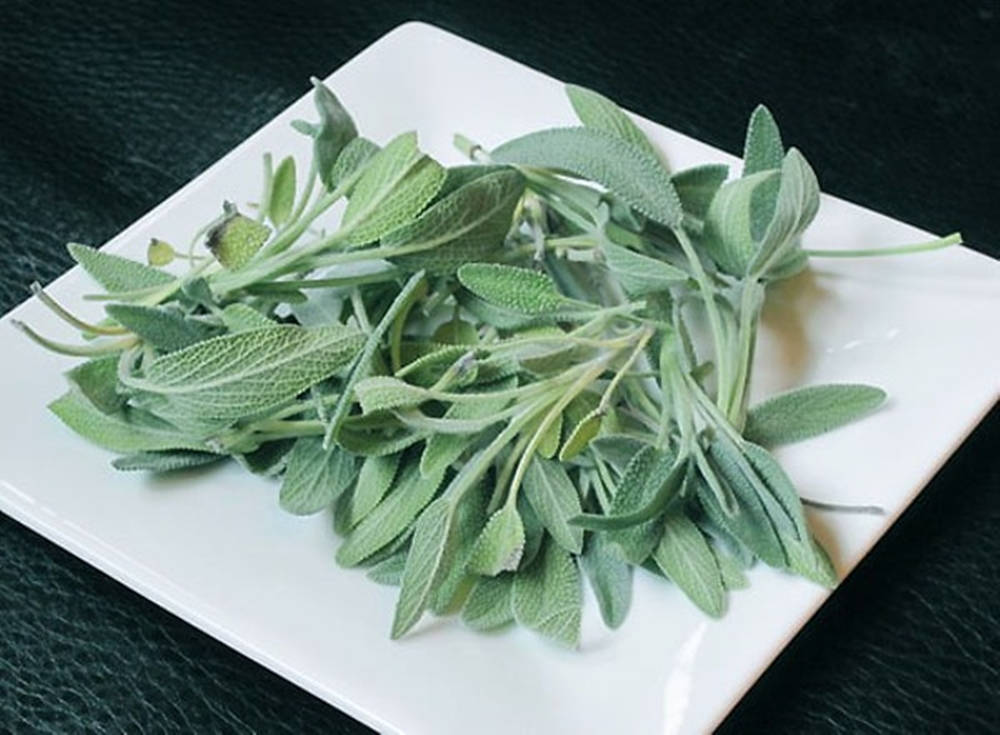 sage 葉片擺盤 壁紙 — 新鮮嘅鼠尾草葉帶有絨毛質感，放喺一個白色方形碟上，背景係深色有紋理嘅背景。
