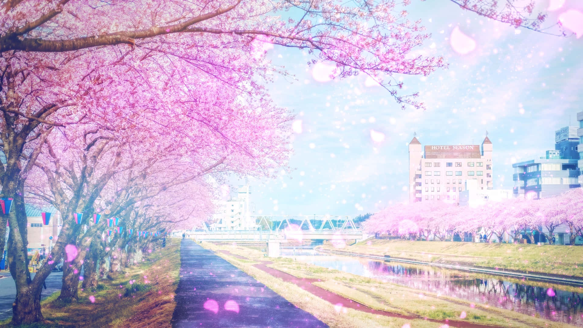 櫻花樹排列在運河小徑上，構成明亮的春天城市景觀。
