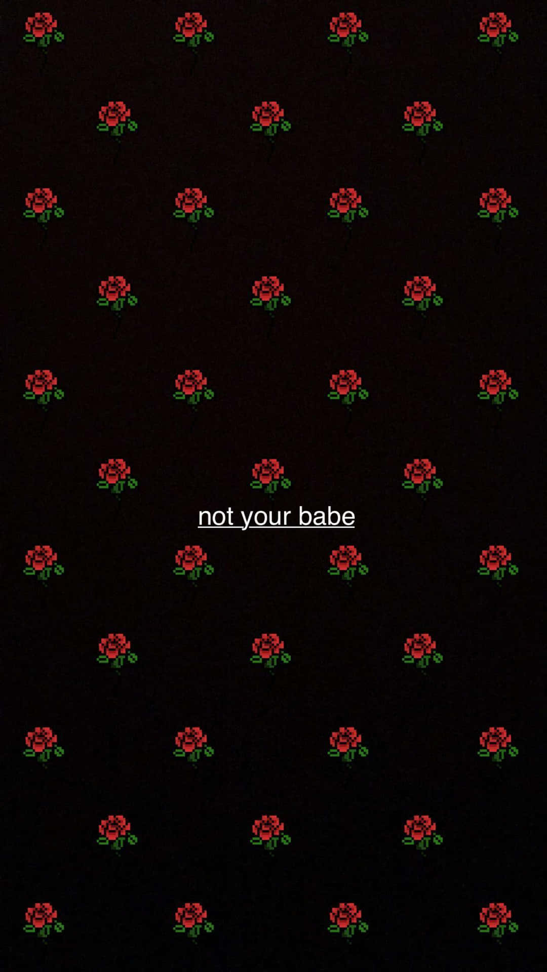黑色背景上的像素化紅玫瑰，文字 not your babe