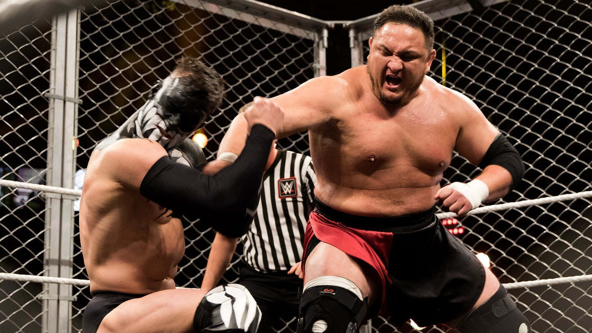 Samoa Joe NXT TakeOver The End 鋼籠賽 壁紙 — 兩名肌肉發達的摔角手在鋼籠內激烈纏鬥，裁判在旁緊密注視。
