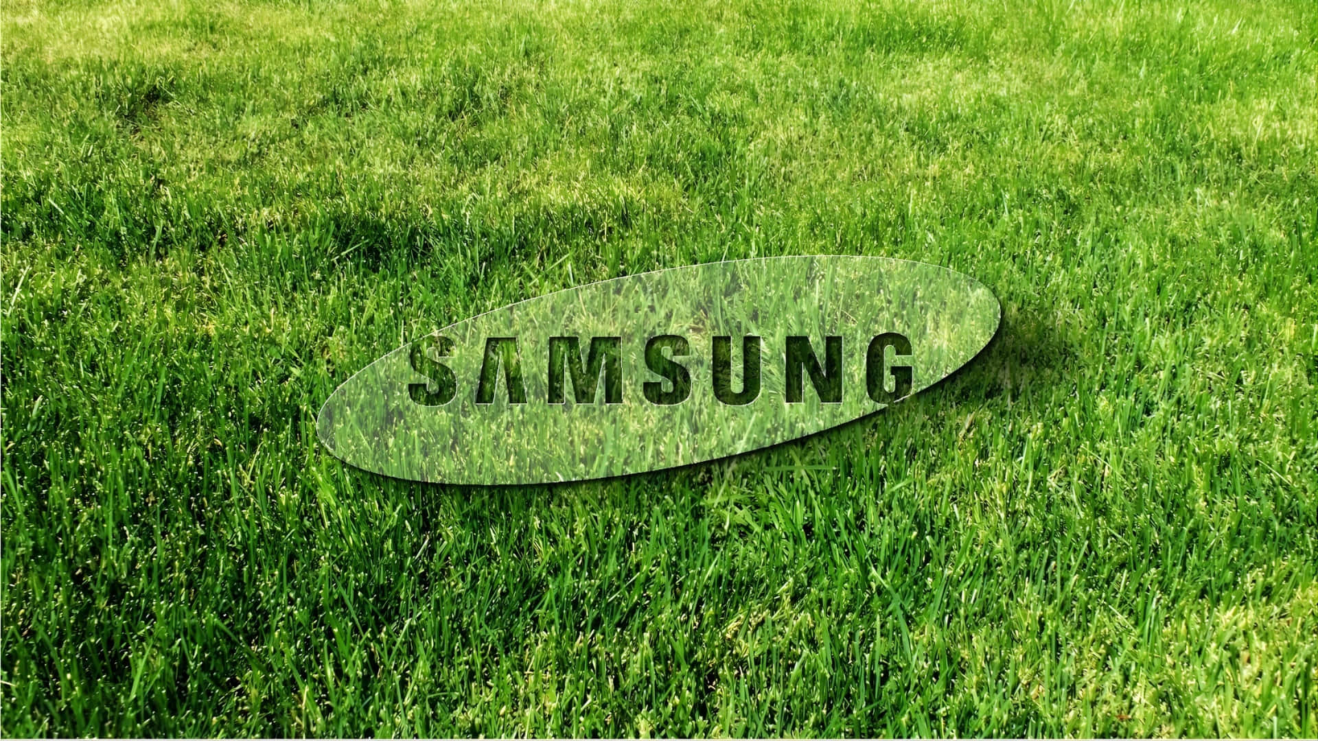  壁紙 — Samsung 標誌放在鮮綠色草地上，在明亮日光下。