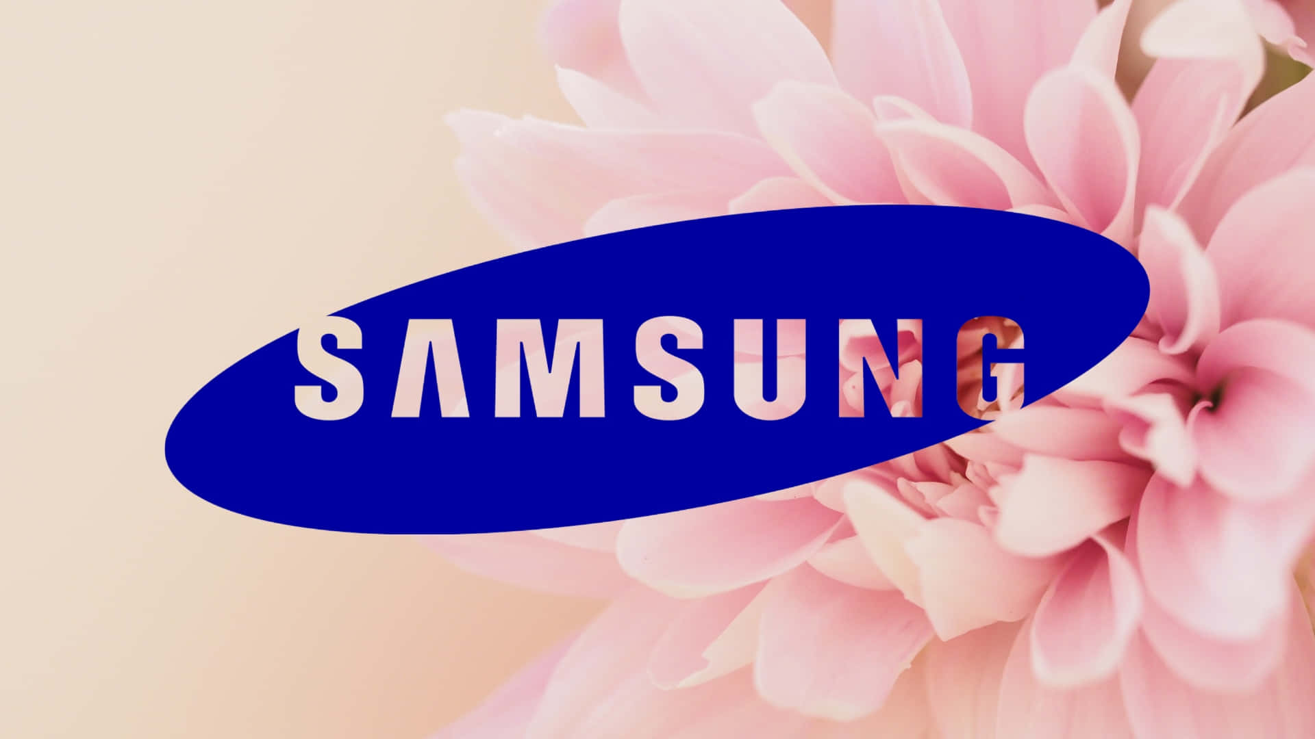  壁紙 — Samsung 標誌以藍色橢圓形配白色文字，疊加在柔和的粉紅色花瓣上，背景為米色。