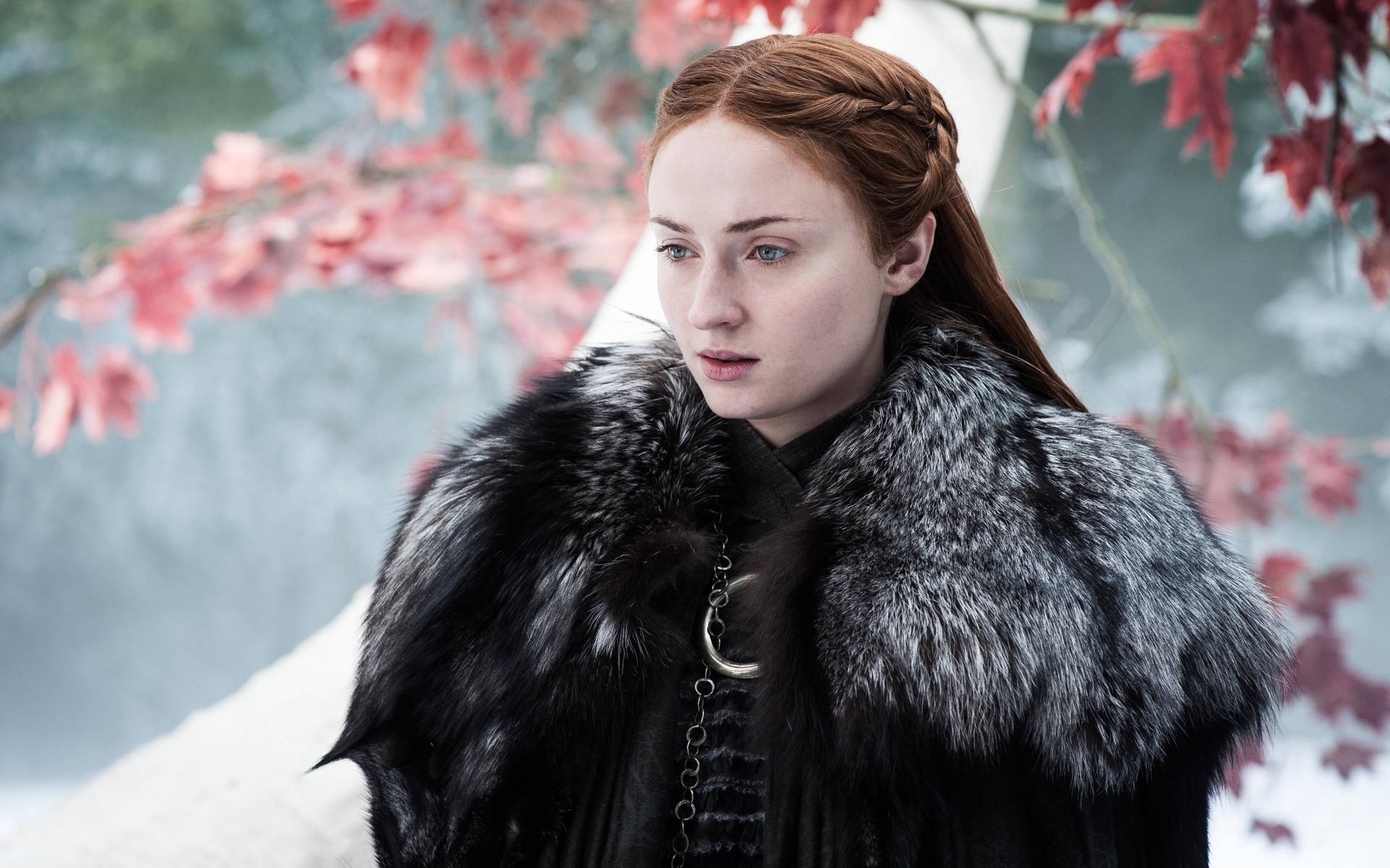 Sansa Stark與Weirwood樹場景 壁紙 — 一位紅辮子女性穿著黑色毛領大衣，背景是雪景和紅葉。