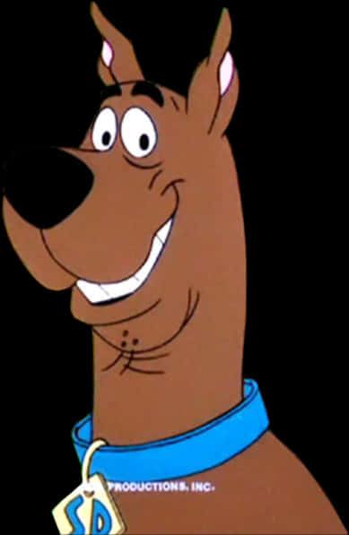 Scooby-Doo肖像 壁紙 — 史酷比卡通角色在黑色背景上咧嘴大笑，戴著藍色項圈和標籤。