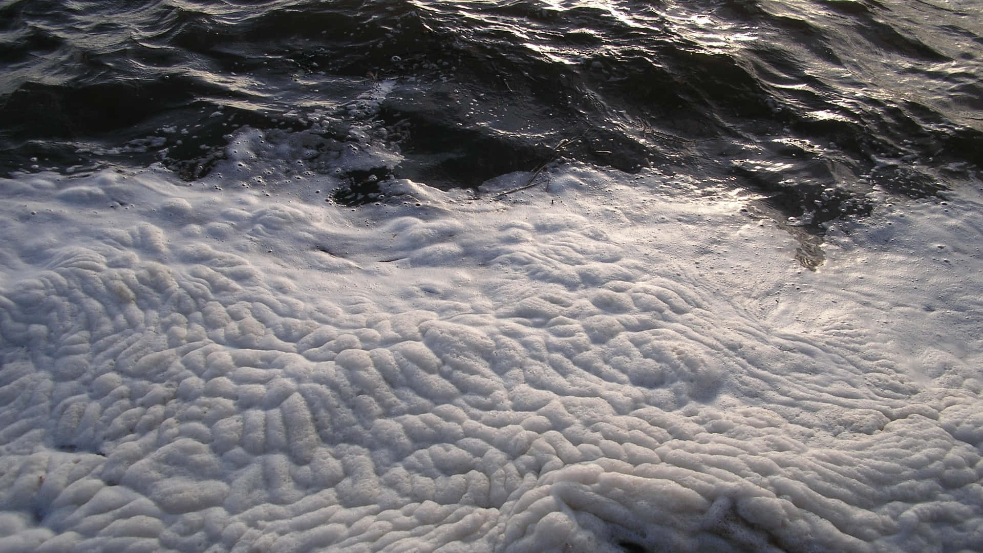白色海浪泡沫紋理在暗色水面上滾動，陽光閃爍
