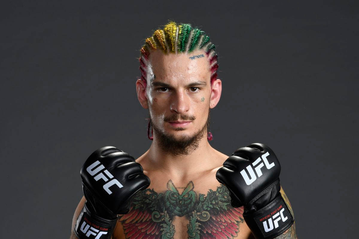 UFC拳手，彩色辮子和胸口紋身，戴著手套