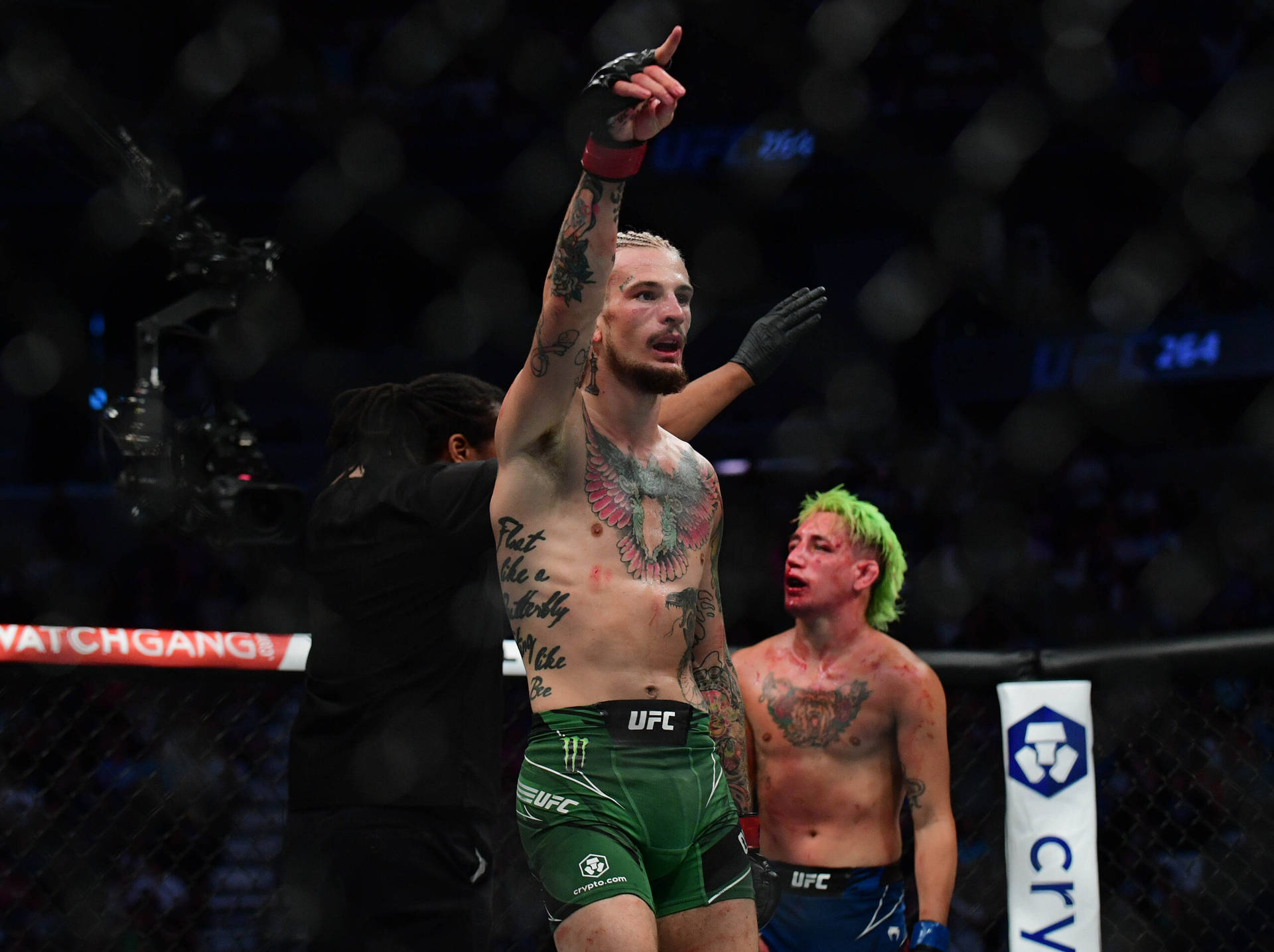 UFC拳手在八角籠內擊敗綠髮對手後慶祝勝利。