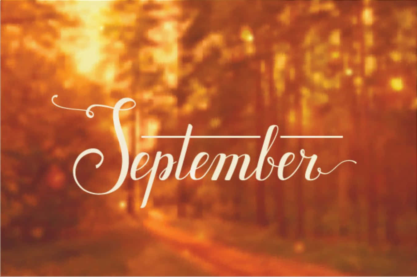 九月 桌布 壁紙 — 「September」這個詞以優雅的白色手寫體在溫暖的金色森林背景下閃耀，沐浴在柔和陽光中。