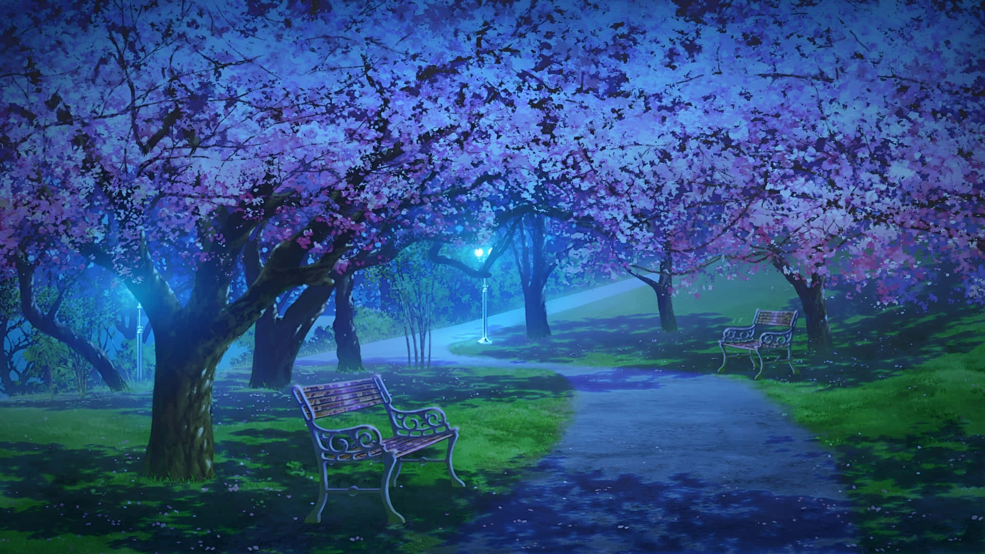  壁紙 — 公園中寧靜的夜景，發光的紫色櫻花拱形覆蓋在蜿蜒的小徑和華麗的長椅上。