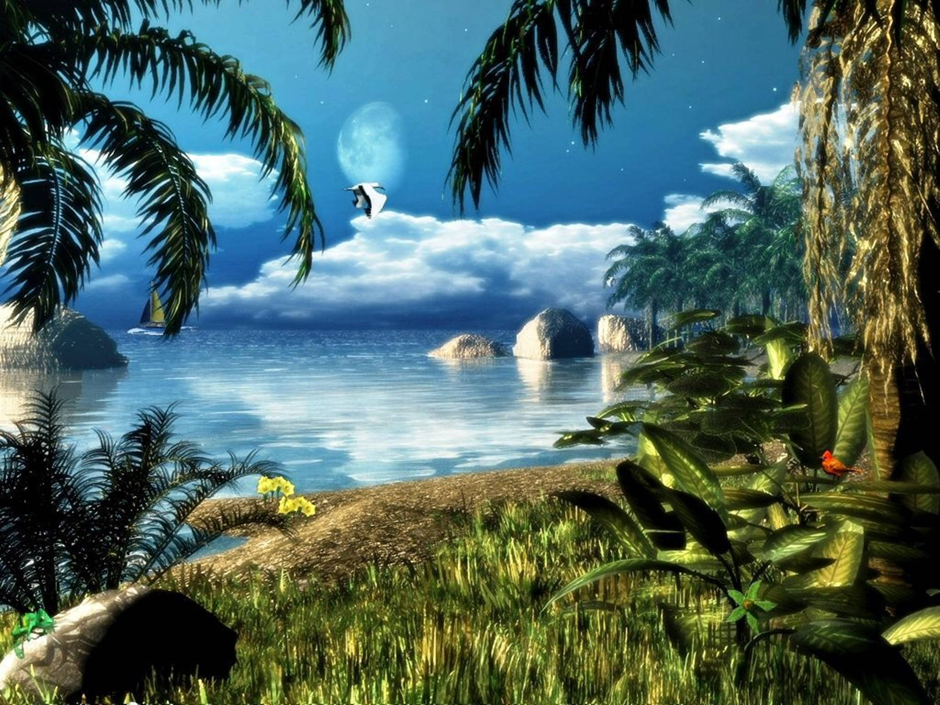 熱帶海灘夜景，棕櫚樹和飛鳥在滿月下。