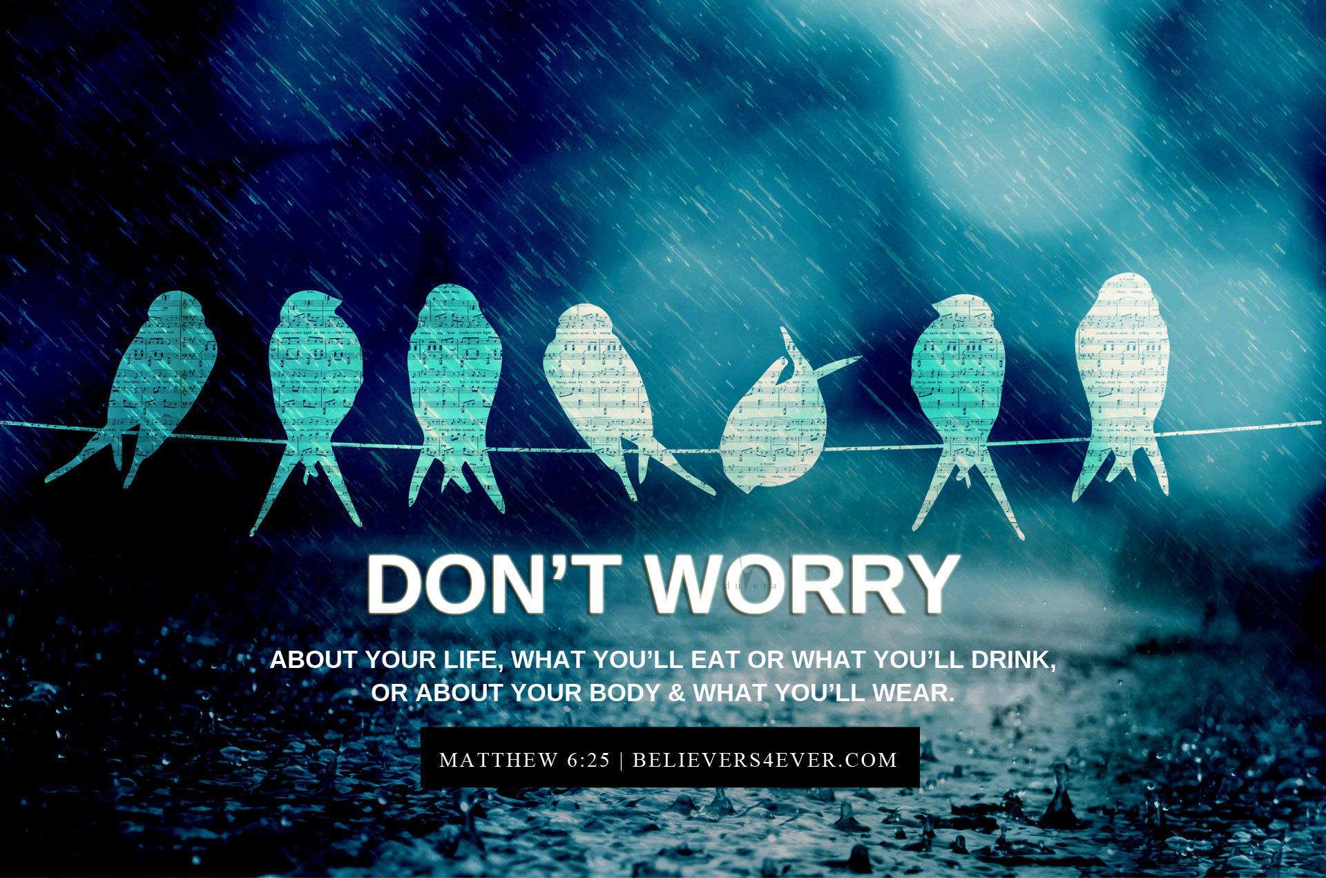 七隻音符鳥在雨中電線上，帶有「Don't Worry」文字。