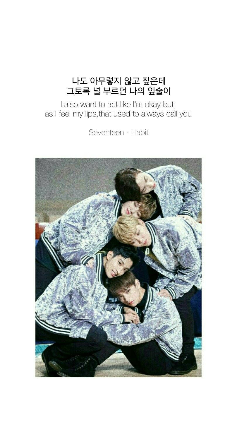 SEVENTEEN Habit 歌詞 壁紙