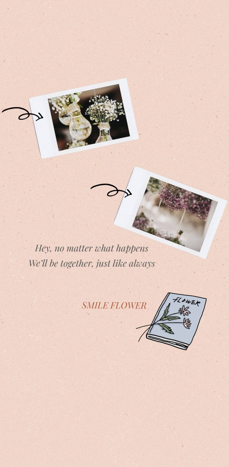 SEVENTEEN《Smile Flower》歌詞 Polaroid 美學編輯
