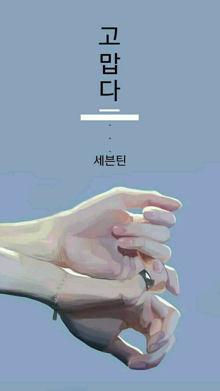 SEVENTEEN《THANKS》手語壁紙 壁紙 — 兩隻手輕輕握在一起，背景是柔和的藍色，上方有韓文文字。