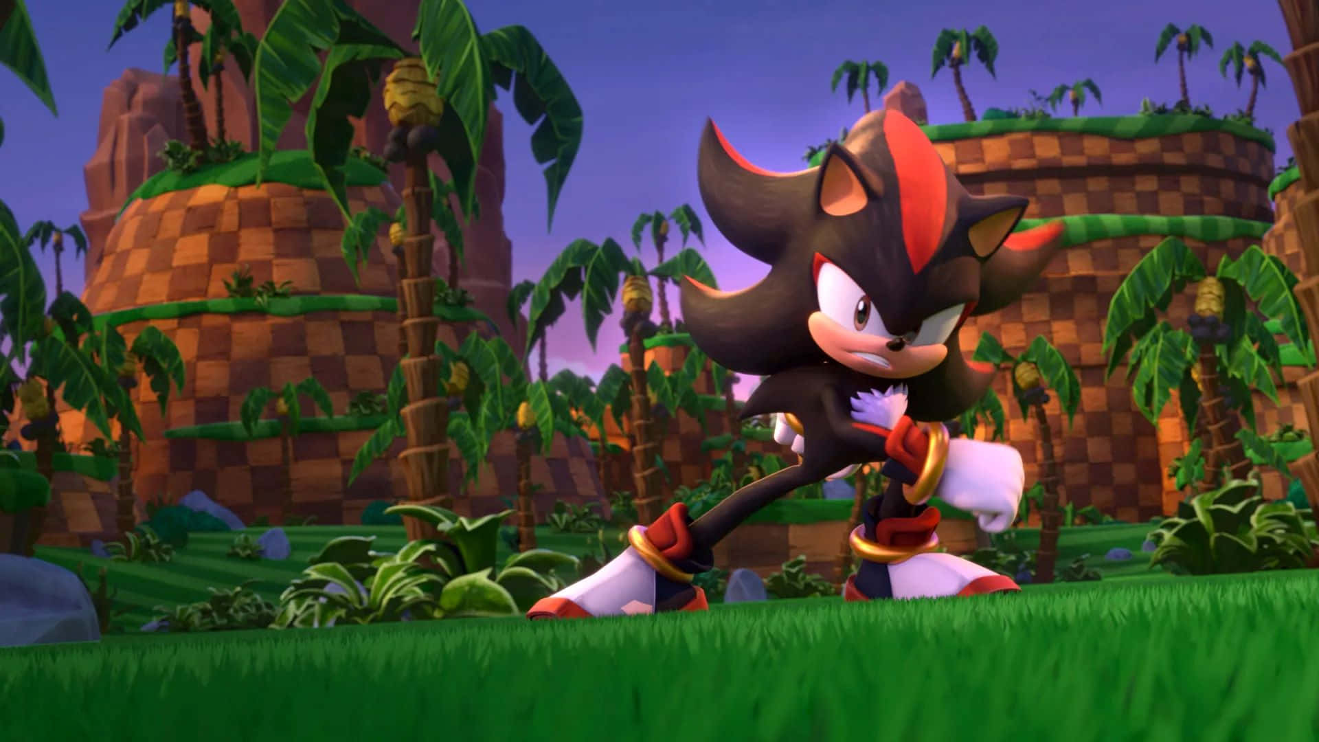  壁紙 — Shadow the Hedgehog 喺一個有棕櫚樹同方格石遺跡嘅充滿活力嘅叢林入面，喺黃昏天空下擺好姿勢。