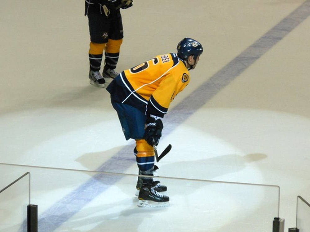 Shea Weber - 冰球界傳奇人物 壁紙 — 一名身穿黃藍裝備的冰球運動員在冰場上彎低身，將球棍靠近板牆。