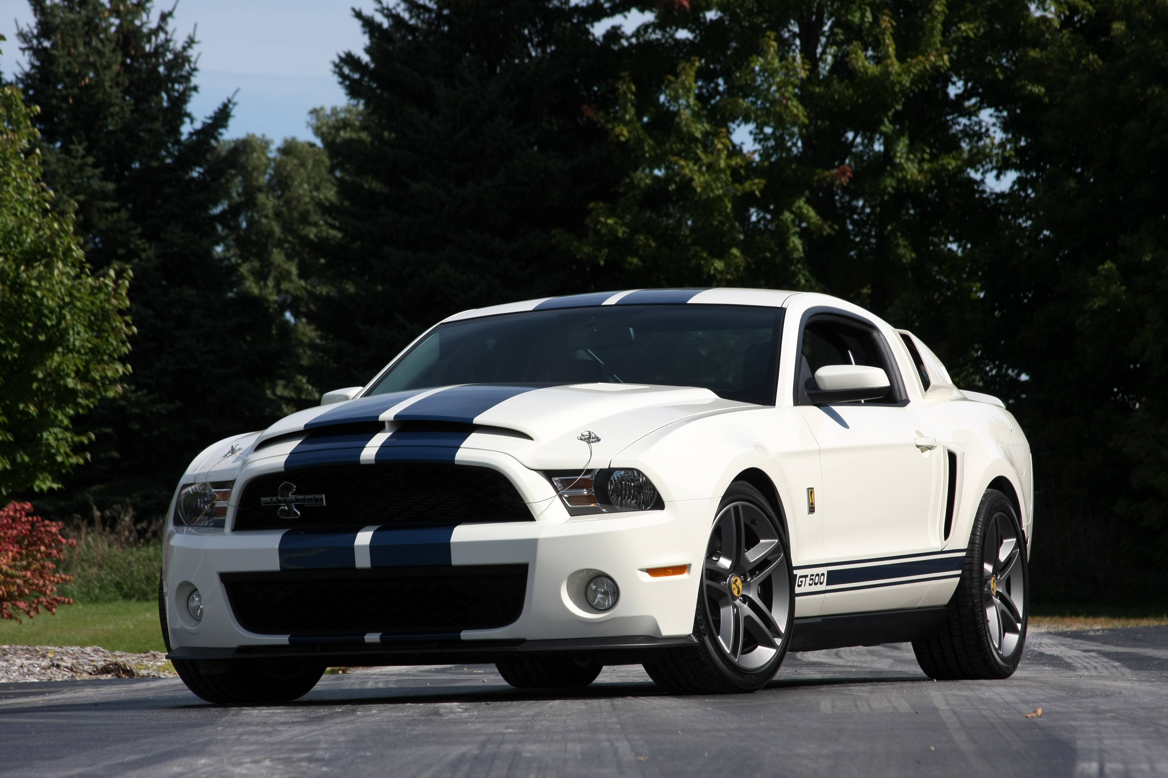 Shelby iPhone GT 500 Cobra 壁紙 — 一架純白色的福特 Mustang GT500，帶有醒目的藍色賽車條紋，停在鋪砌的道路上，周圍是茂密的綠樹，在明亮的日光下。