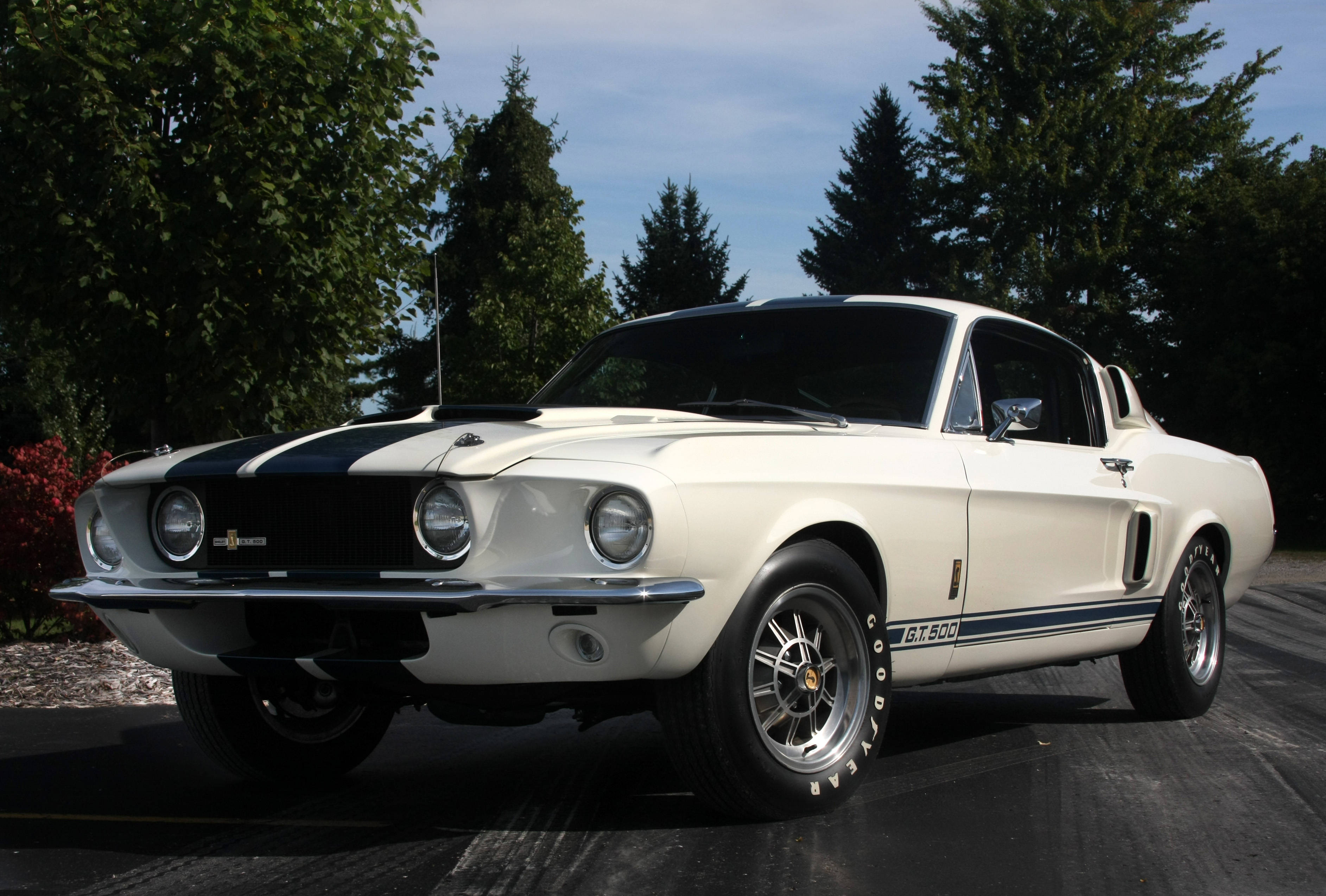 Shelby iPhone 白色Patriot版 壁紙 — 一架純白色的1967年Shelby GT500 Mustang，帶有黑色賽車條紋，停在瀝青路面上，背景是晴朗的藍天和茂密的綠樹。