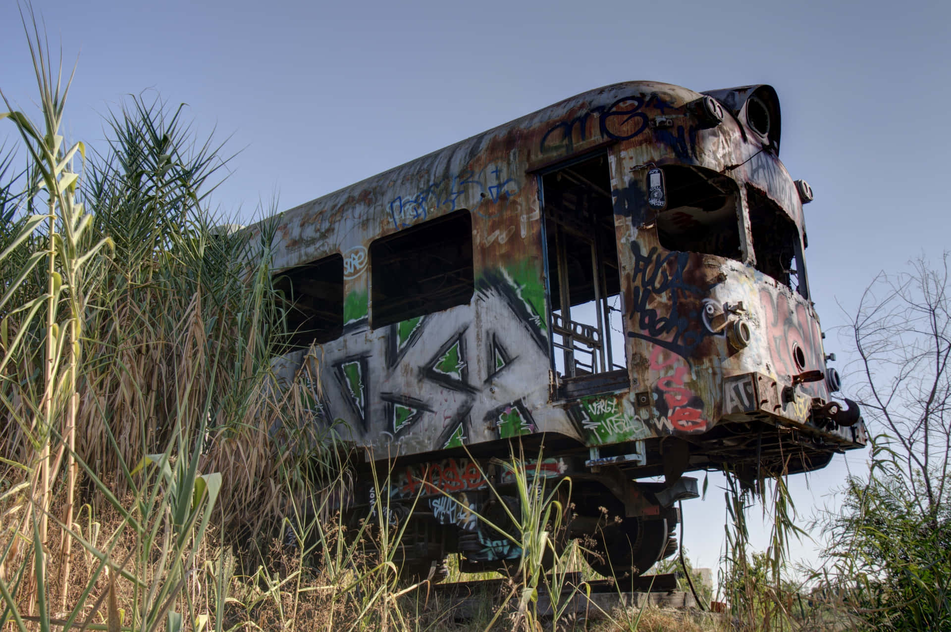  壁紙 — 一輛生鏽且佈滿塗鴉的火車車廂被遺棄在高高的乾草中，頭頂是清澈的藍天。