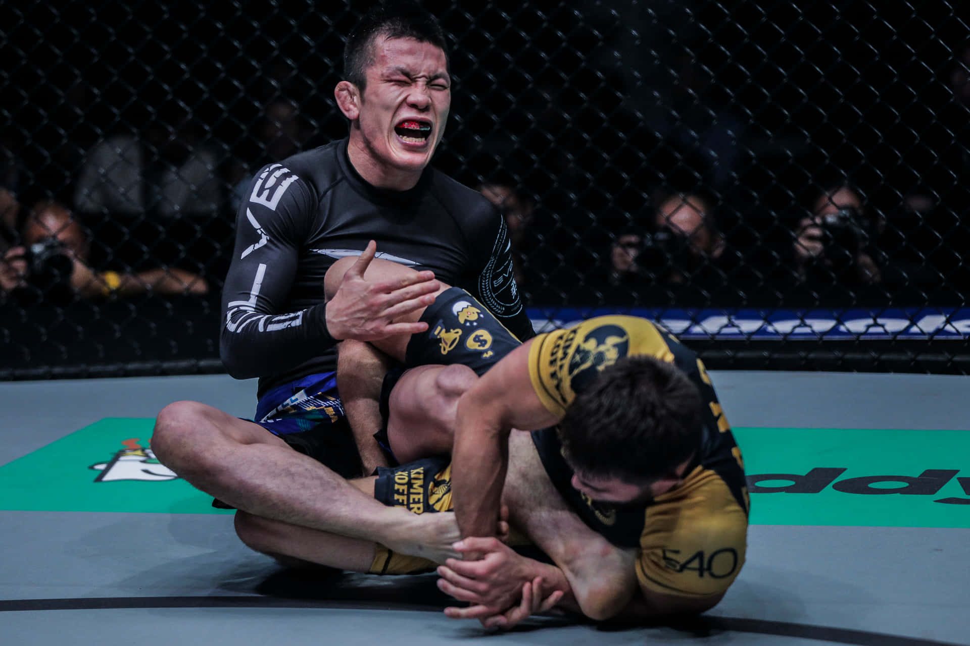 Shinya Aoki 被 Garry Tonon 施以腳踝鎖 壁紙 — 兩名拳手在MMA八角籠墊上激烈纏鬥，其中一人痛苦尖叫，另一人則施展降服技。