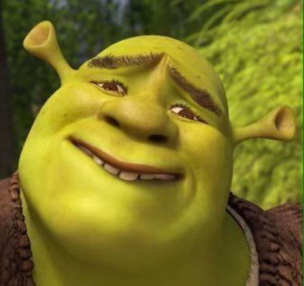 Shrek 笑容滿面！ 壁紙 — 史力加近鏡，綠色皮膚、尖耳朵，在模糊森林背景下溫暖微笑。