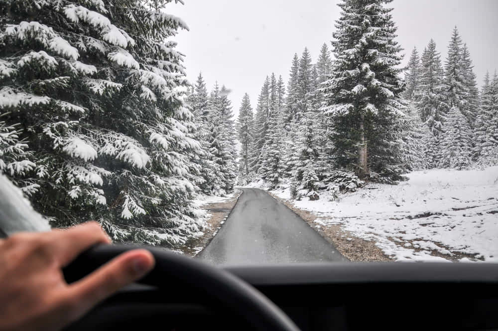 Winter Driving 桌布 壁紙 — 司機的手緊握方向盤，一條積雪的森林道路在陰天之下蜿蜒穿過高聳的常青樹。