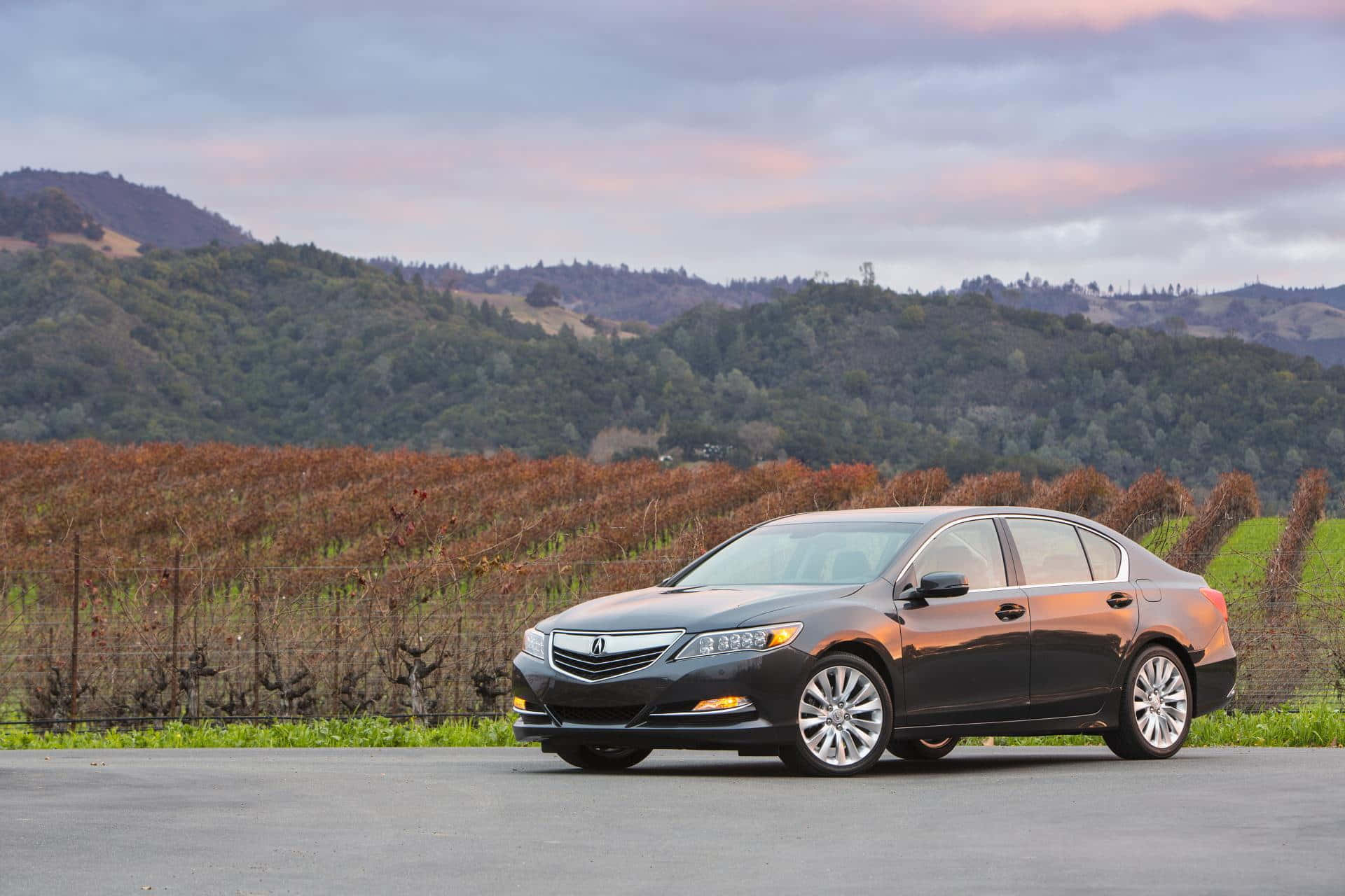 Acura Rlx 桌布 壁紙 — 一架時尚黑色房車停泊在鋪砌道路上，前方是一排排休眠的葡萄藤和起伏的綠色山丘，在柔和的暮色天空下。