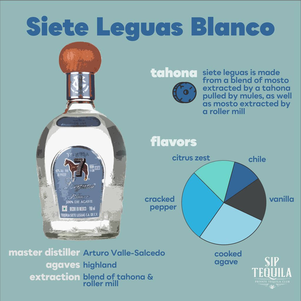 詳細說明Siete Leguas Blanco龍舌蘭酒瓶、風味和生產方法的資訊圖表。