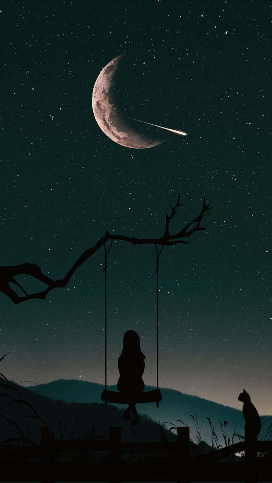 夜晚，人和貓在月牙和流星下的鞦韆上。