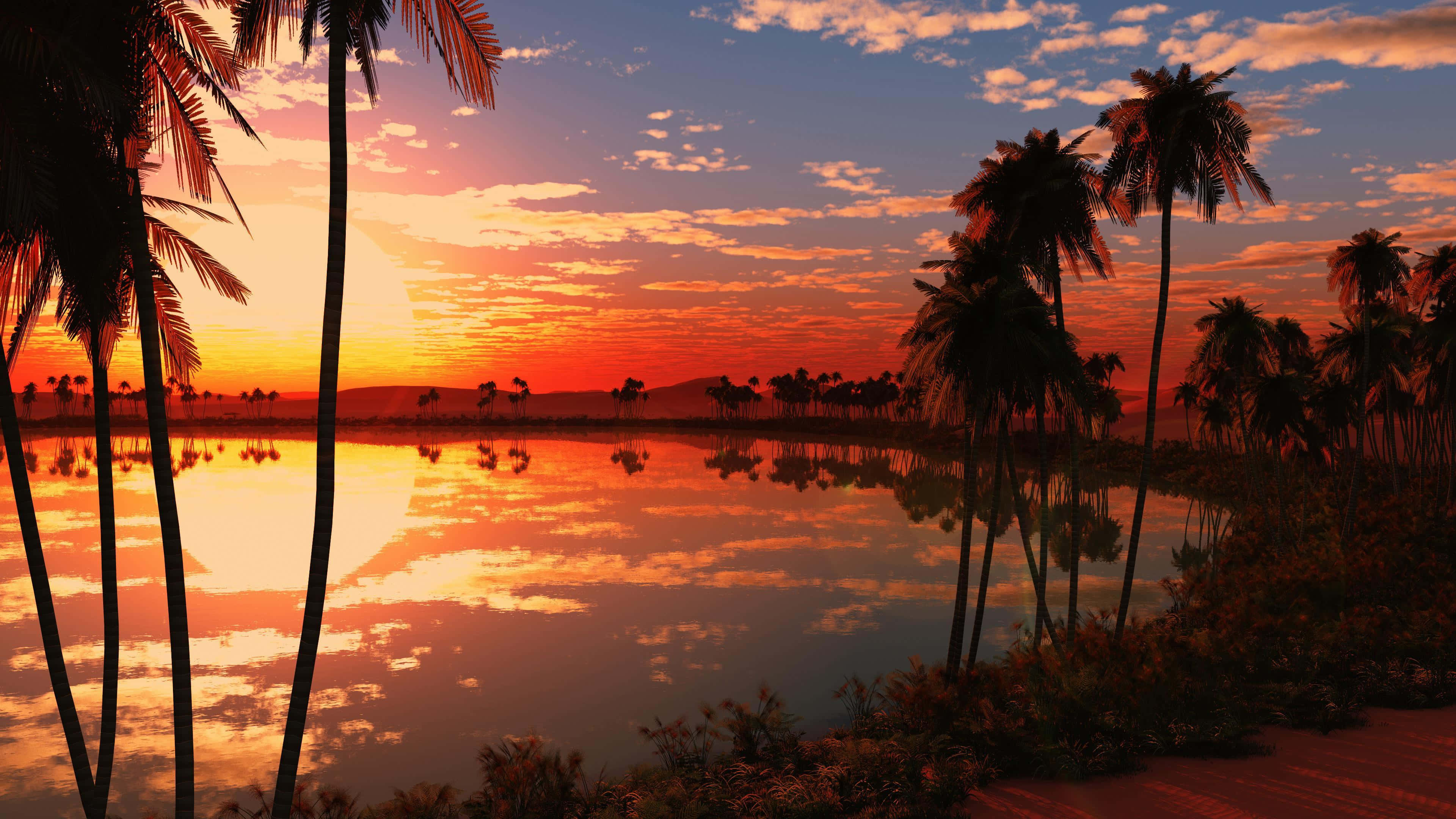 Sunset Reflection 桌布 壁紙 — 棕櫚樹的剪影框住了一個寧靜的熱帶湖泊，反射出火紅的橙色和粉紅色日落雲彩。